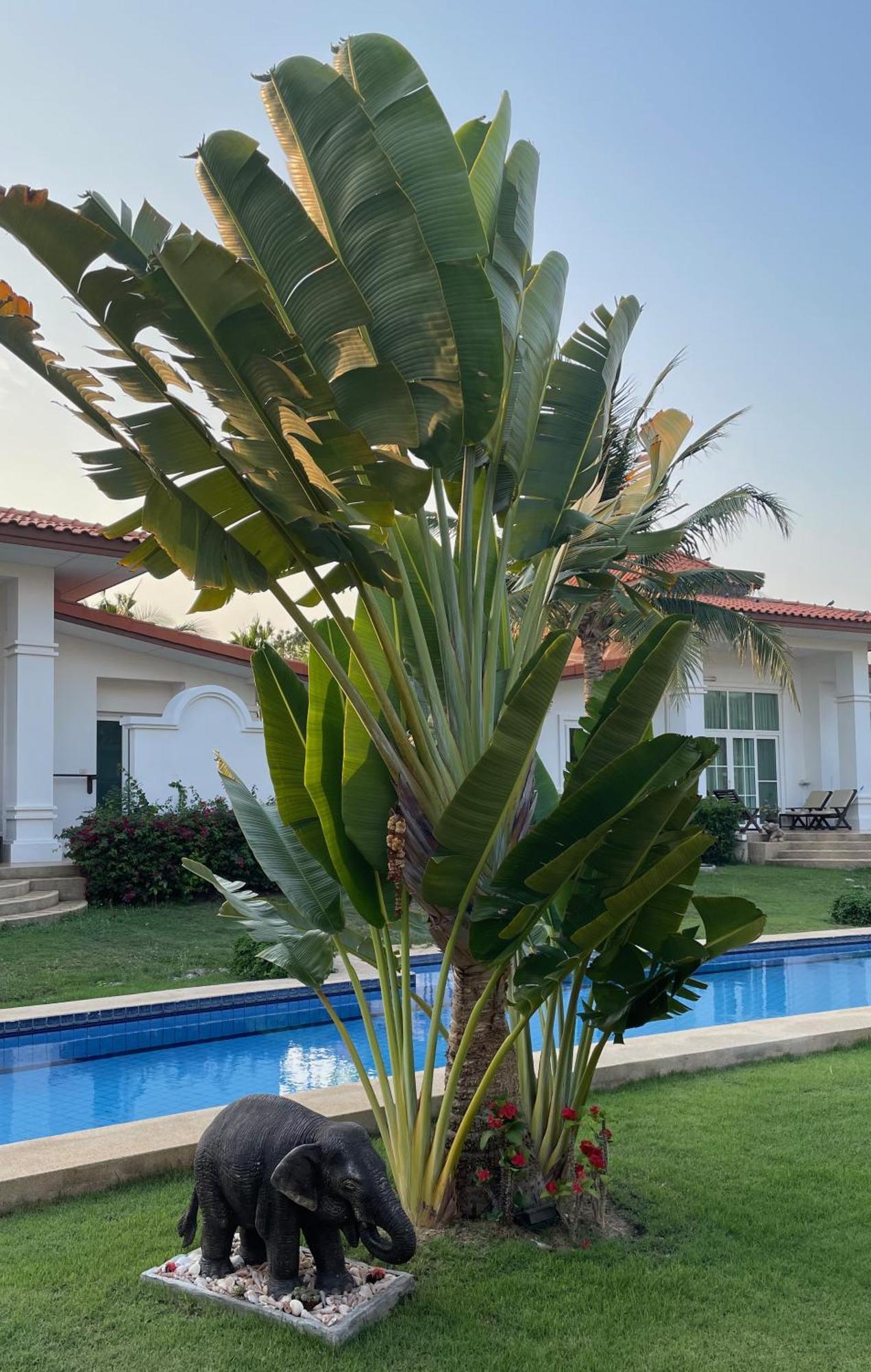 Villa Bougainvillea HHQ Exterior photo